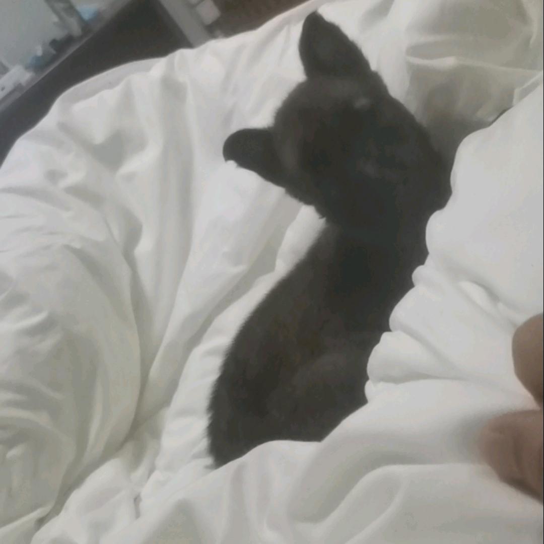 心宽🇨🇳似海