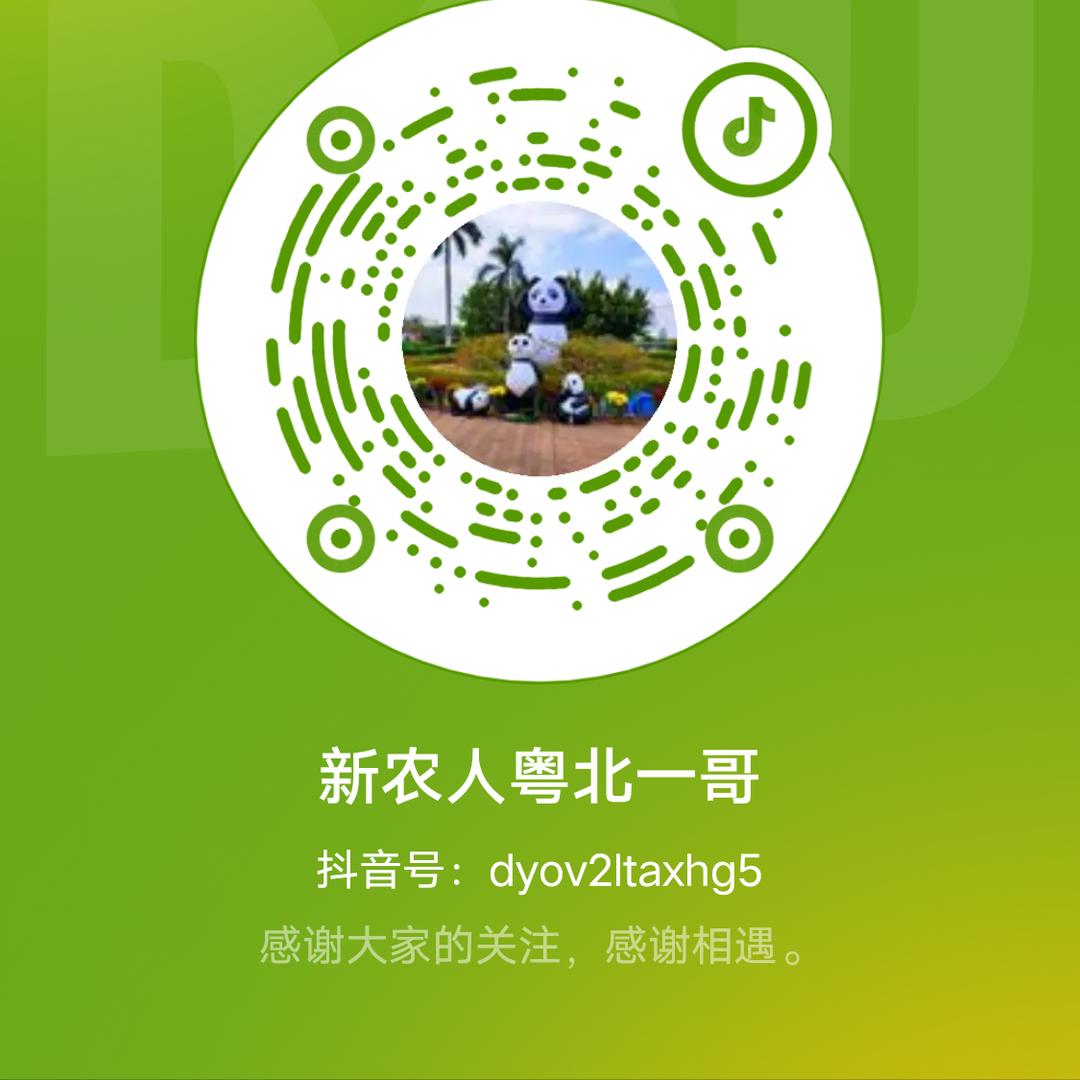 新农人粤北一哥