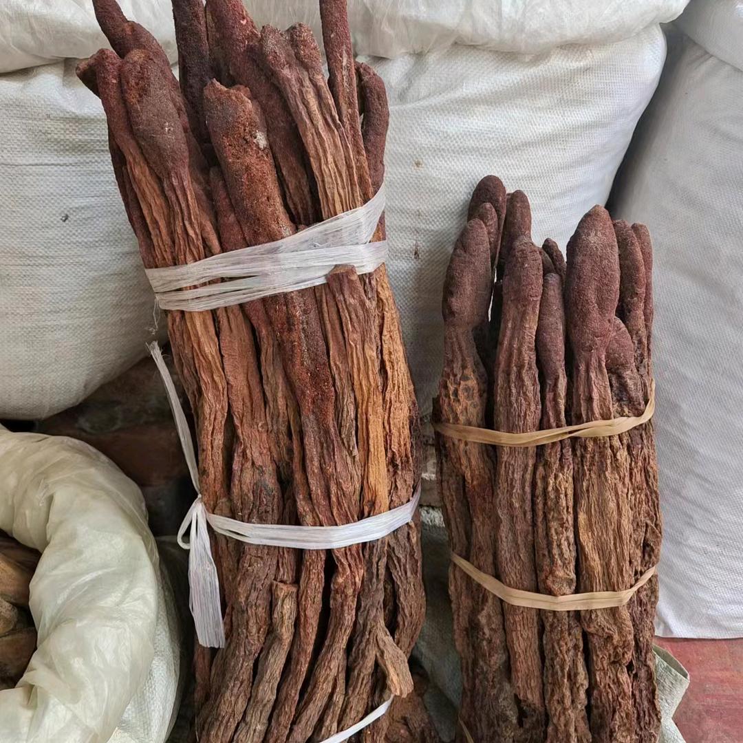 吴老师讲中草药材