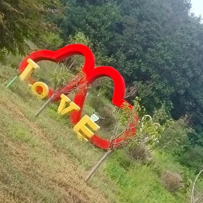 凡凡小游戏（互关）