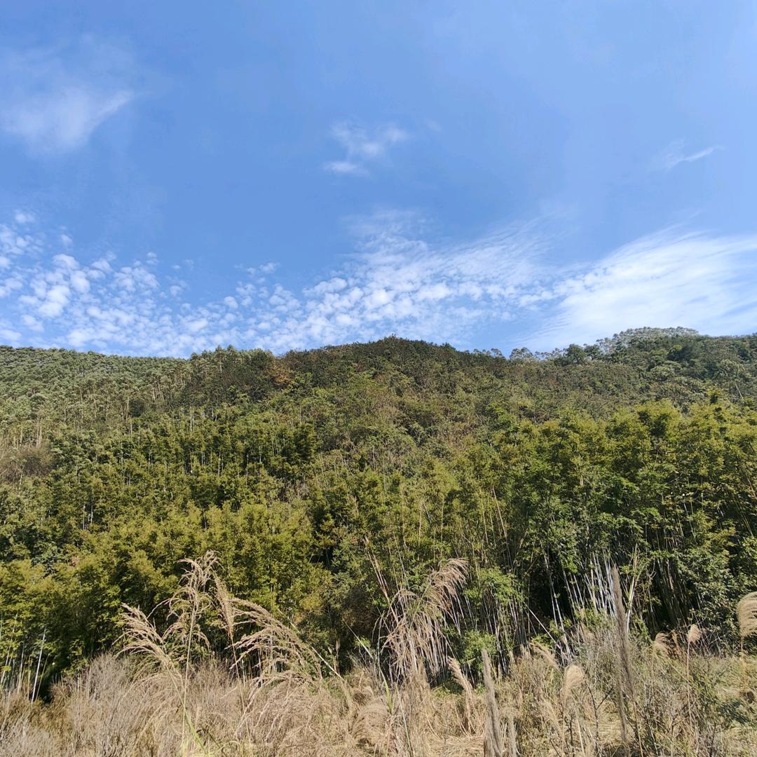 夏夏夏天