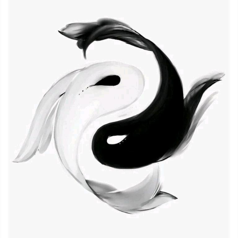 玄淼易学