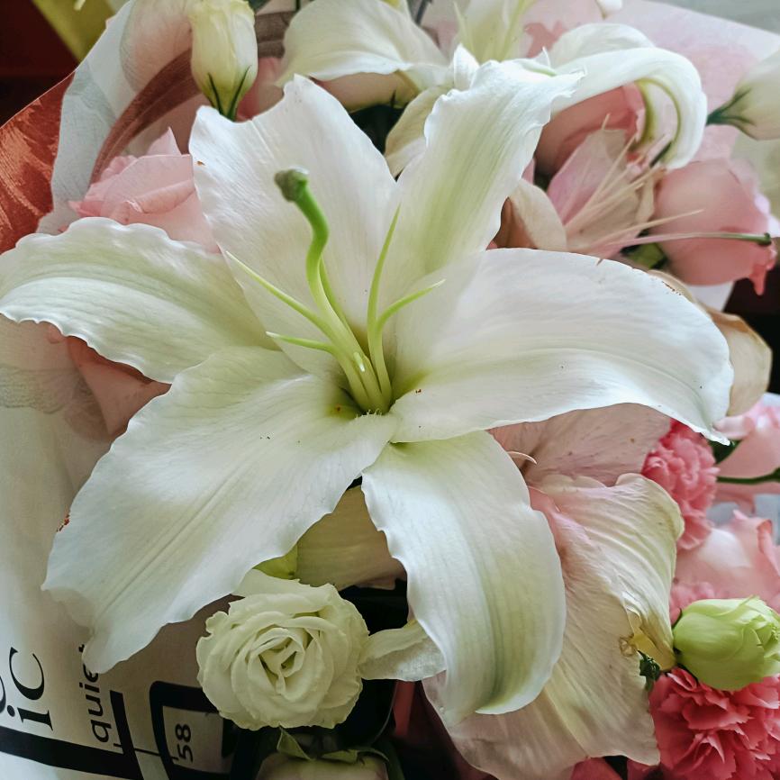 做个快乐的小富婆