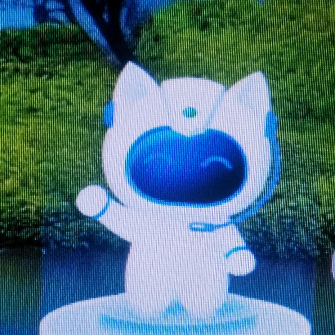小二哈