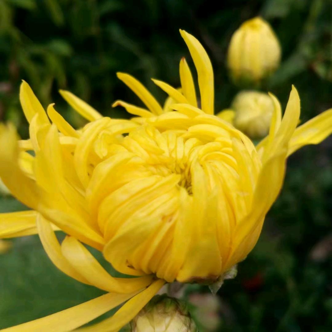 幸福的一家人，