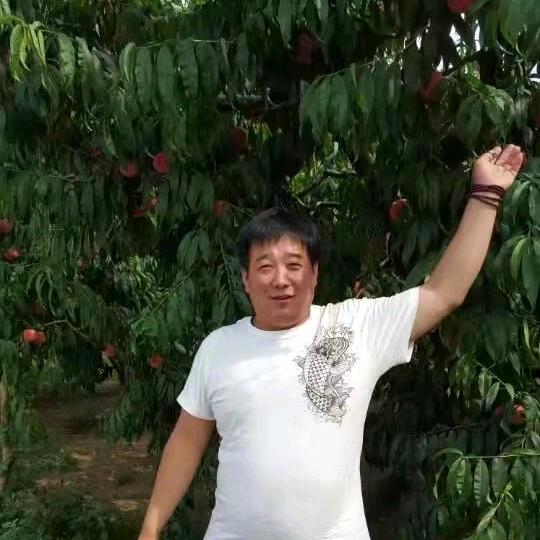 唐县人