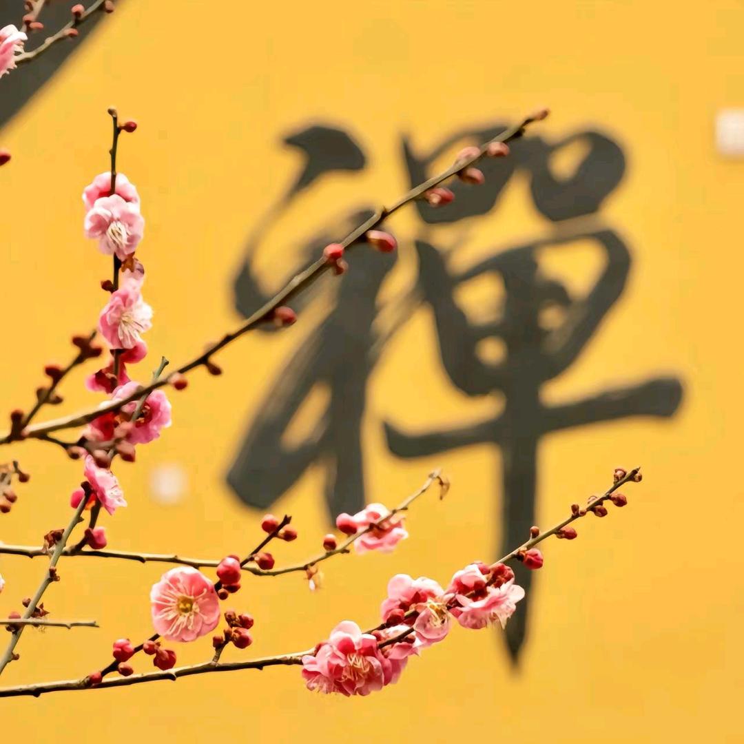 竹隐寺