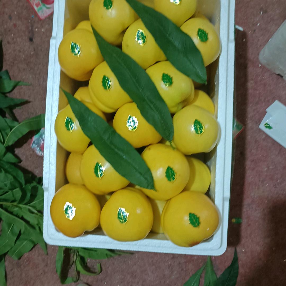 开心每一天，
