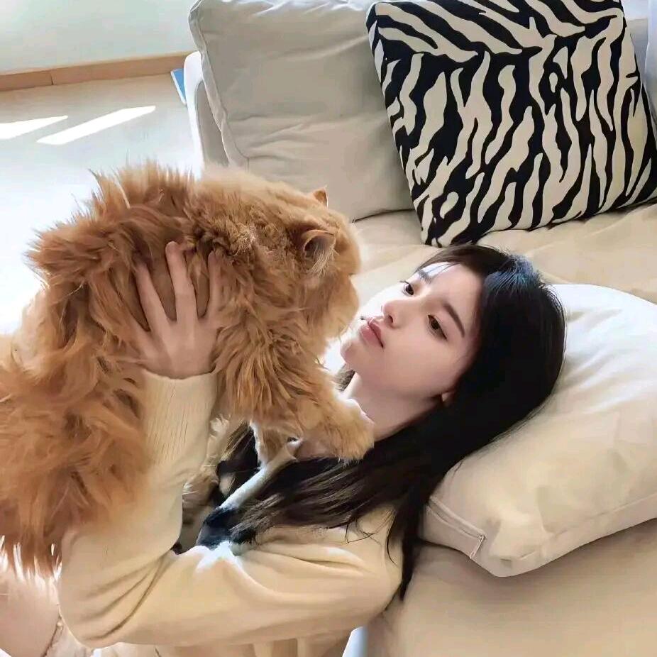 讨厌人类
