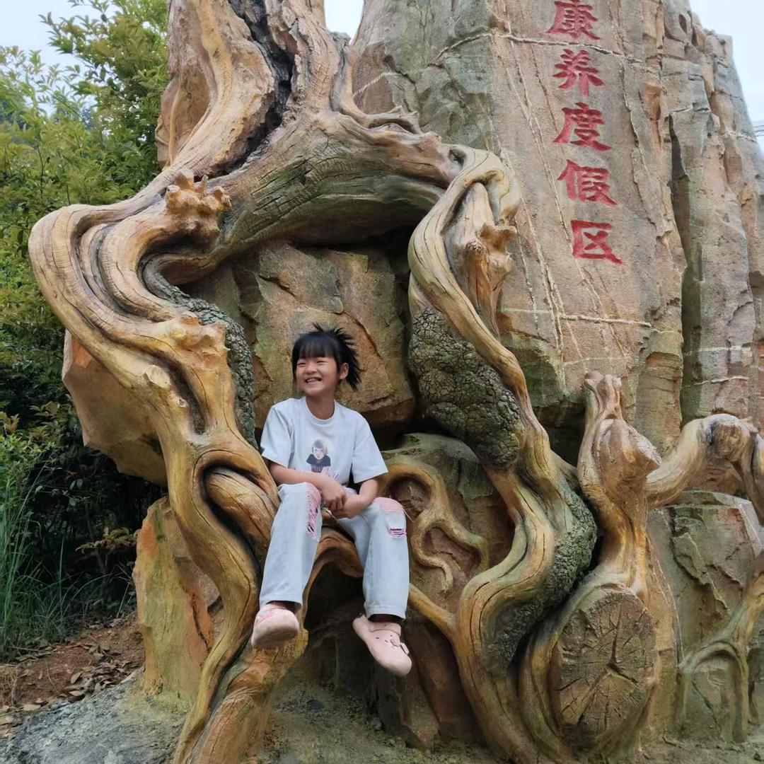 心梦飞扬