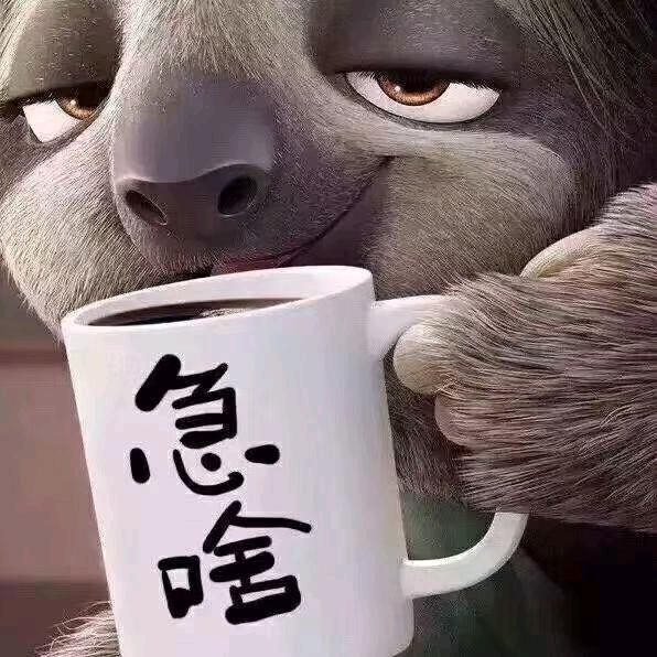 💦纯色玫瑰 💦