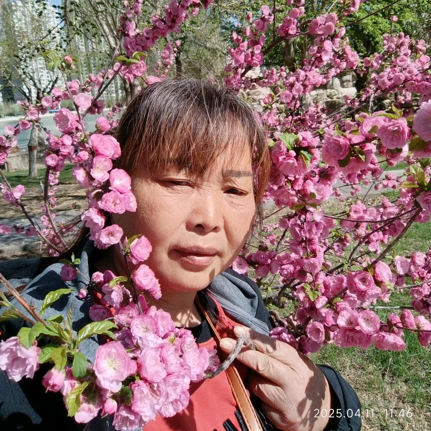 蒋家大姐，🐭🐭🐭🐭