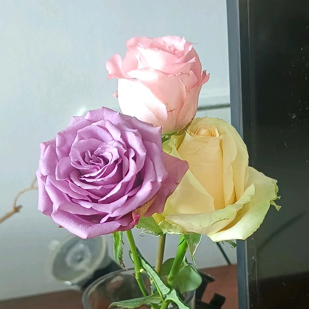 好运加🈵⌓‿⌓