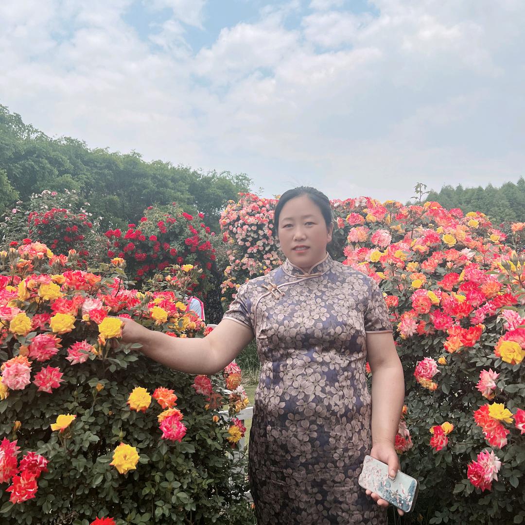 芝