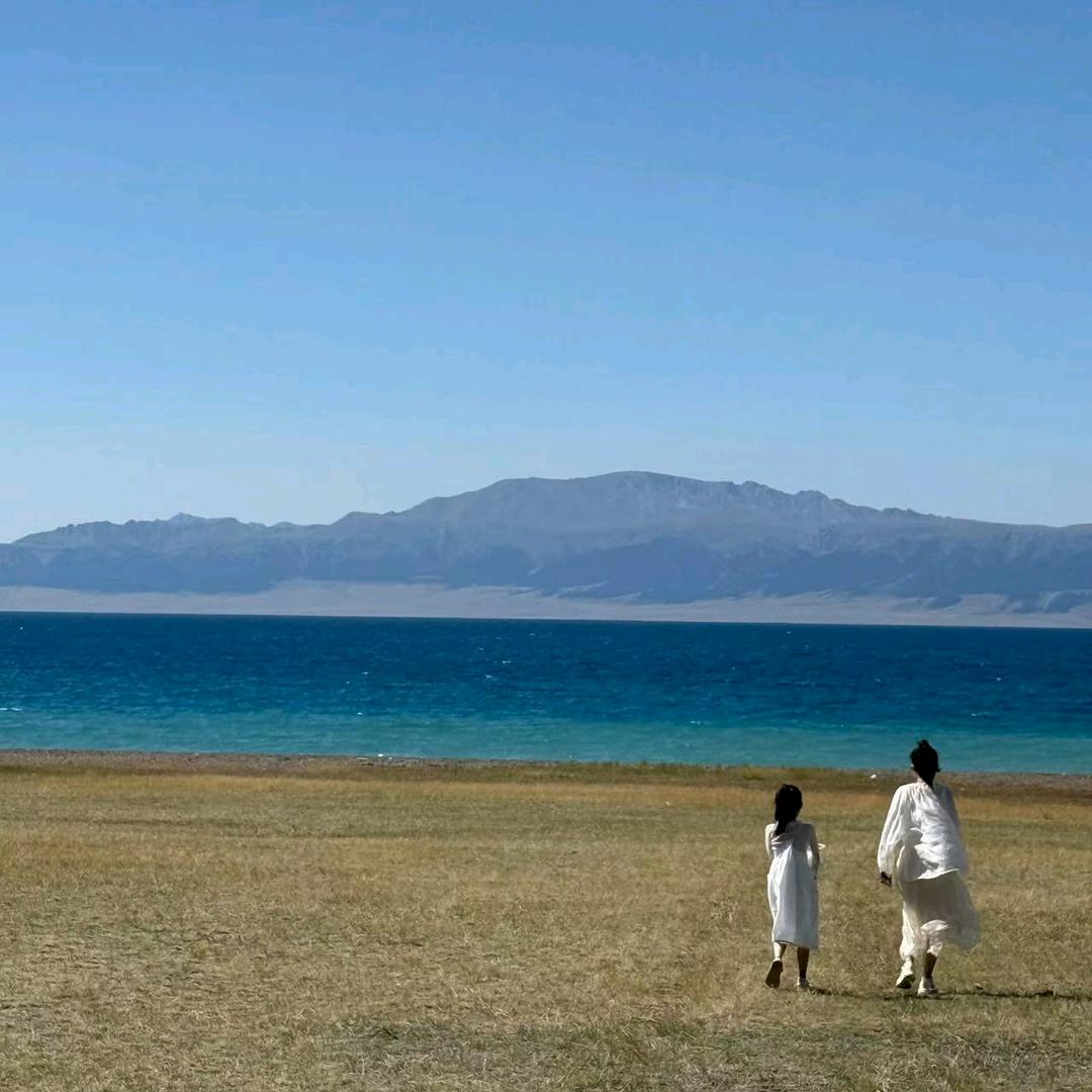 密密麻麻