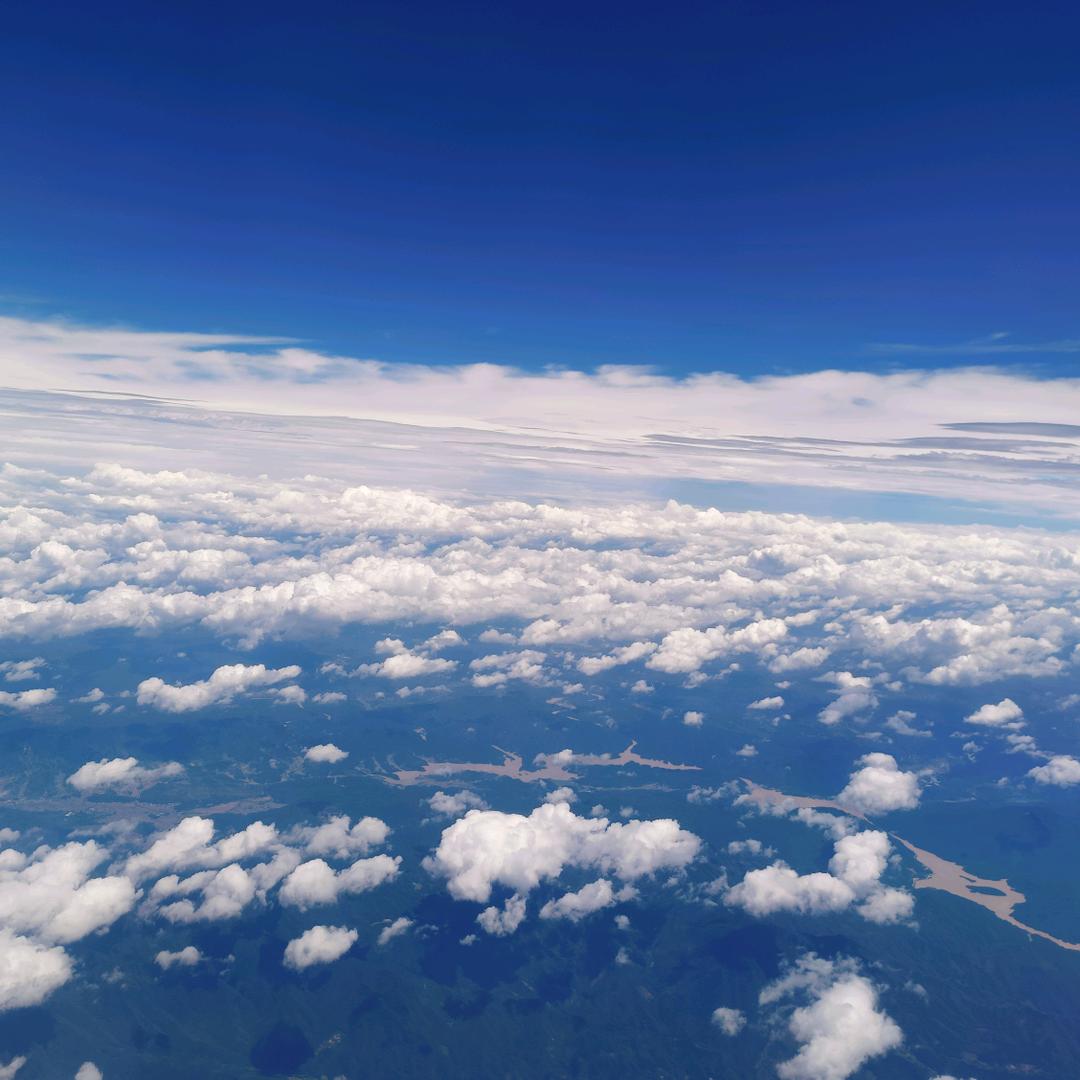 一只活着的幽魂