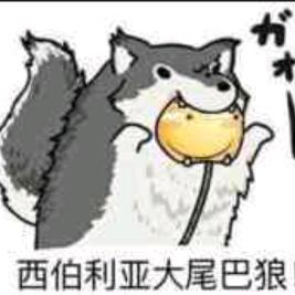 西伯利亚大尾巴狼、