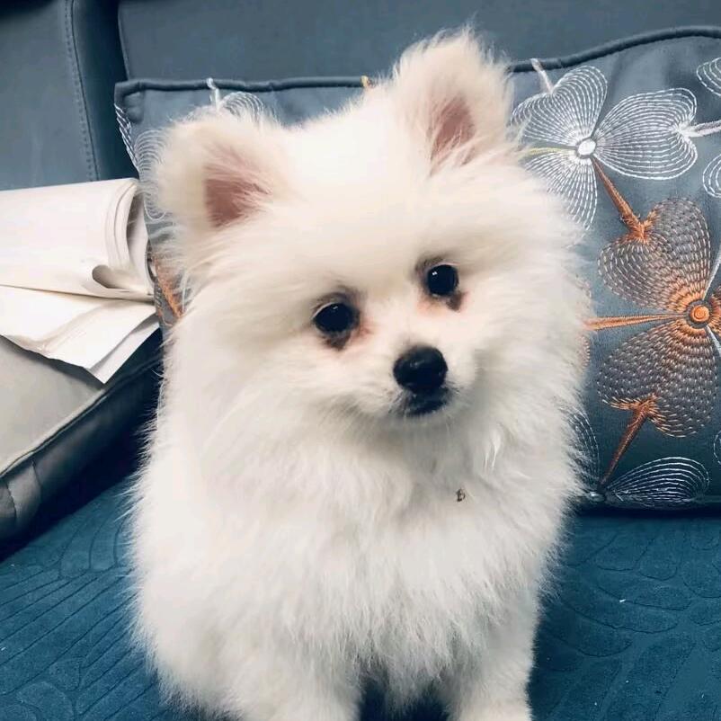 莽子人间随记