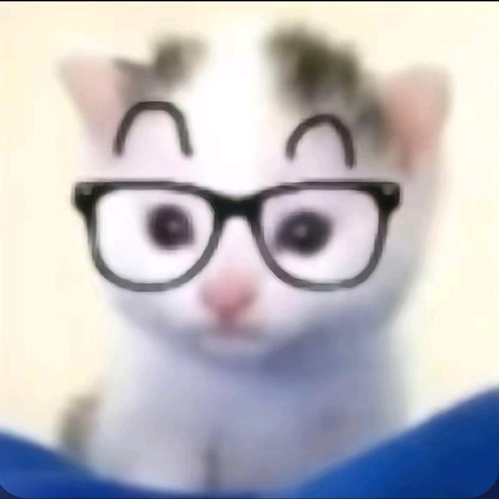 体育小猫老弟