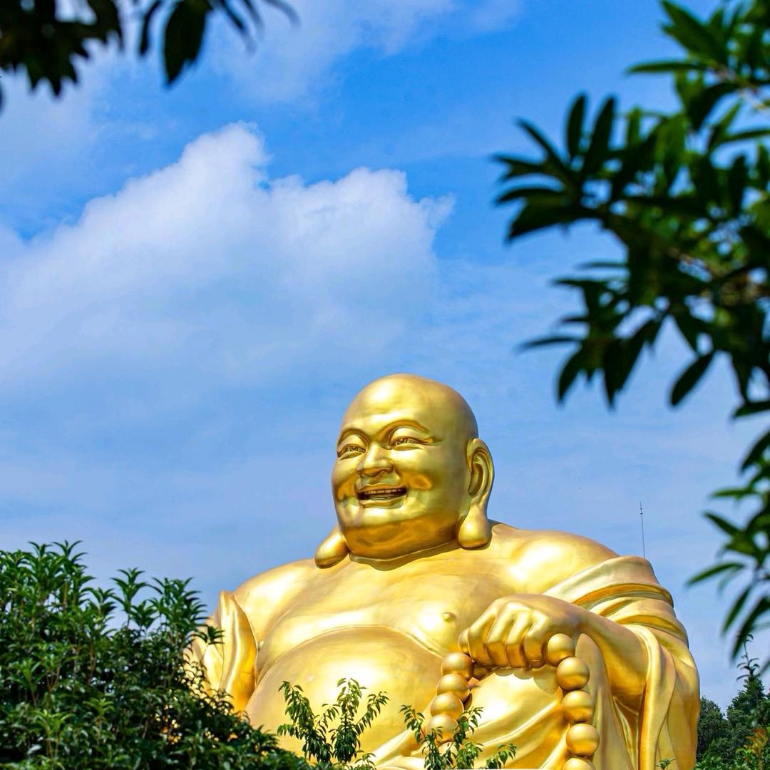 997365224