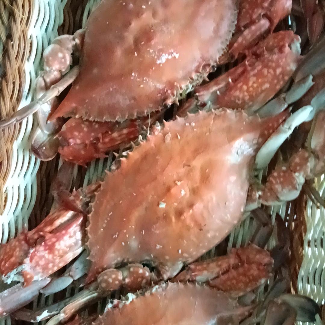 海上航行