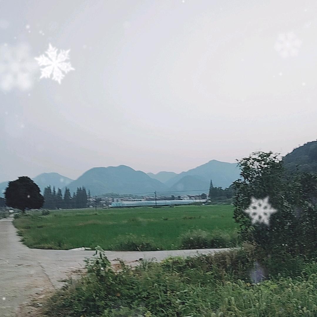 用户3154074581585开始