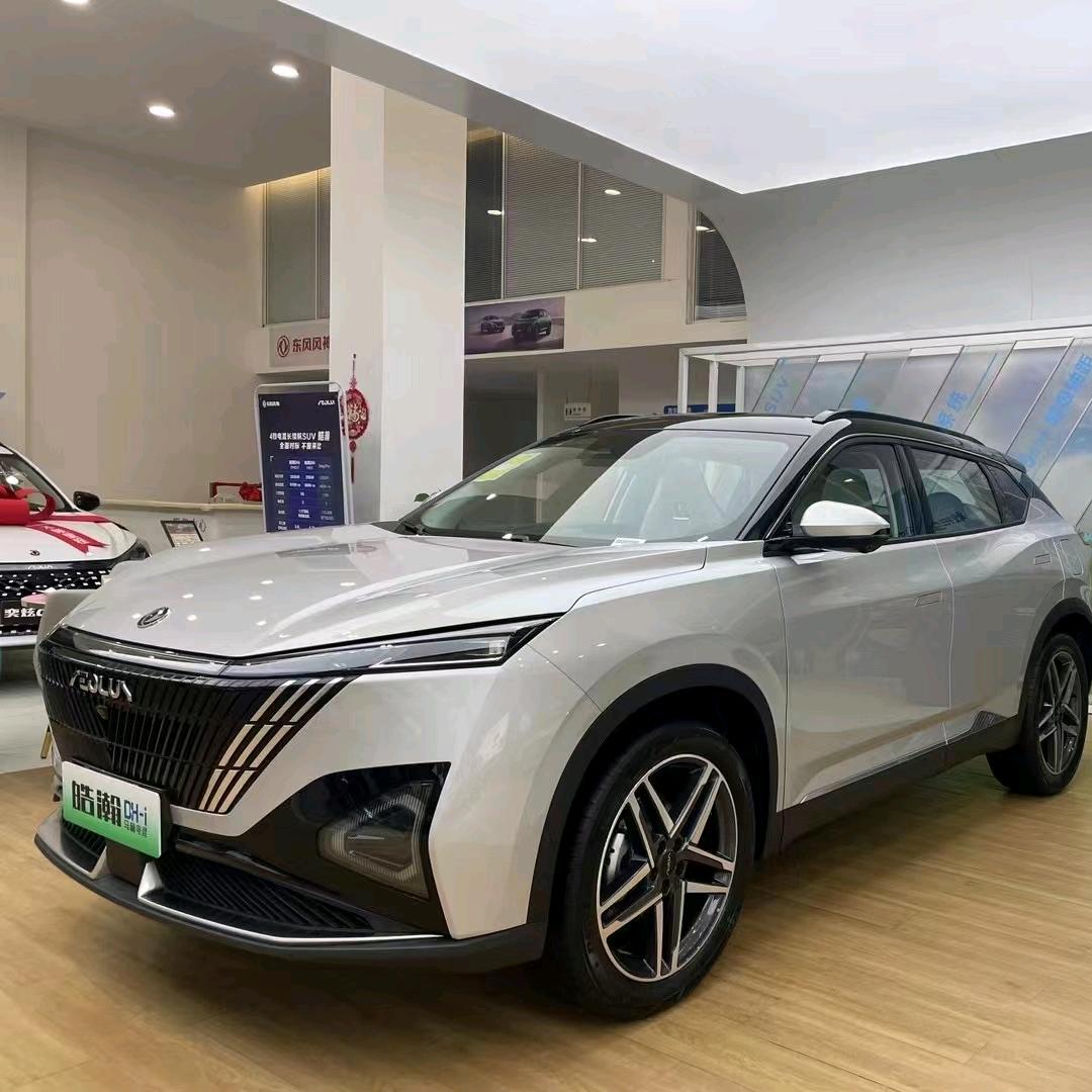 厦门杏林金杯汽车，鑫源SRM新能源