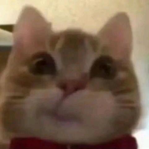 山柚木