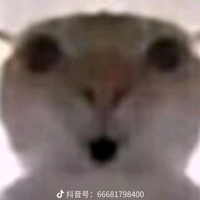 天下万般兵刃，唯有回忆最伤人