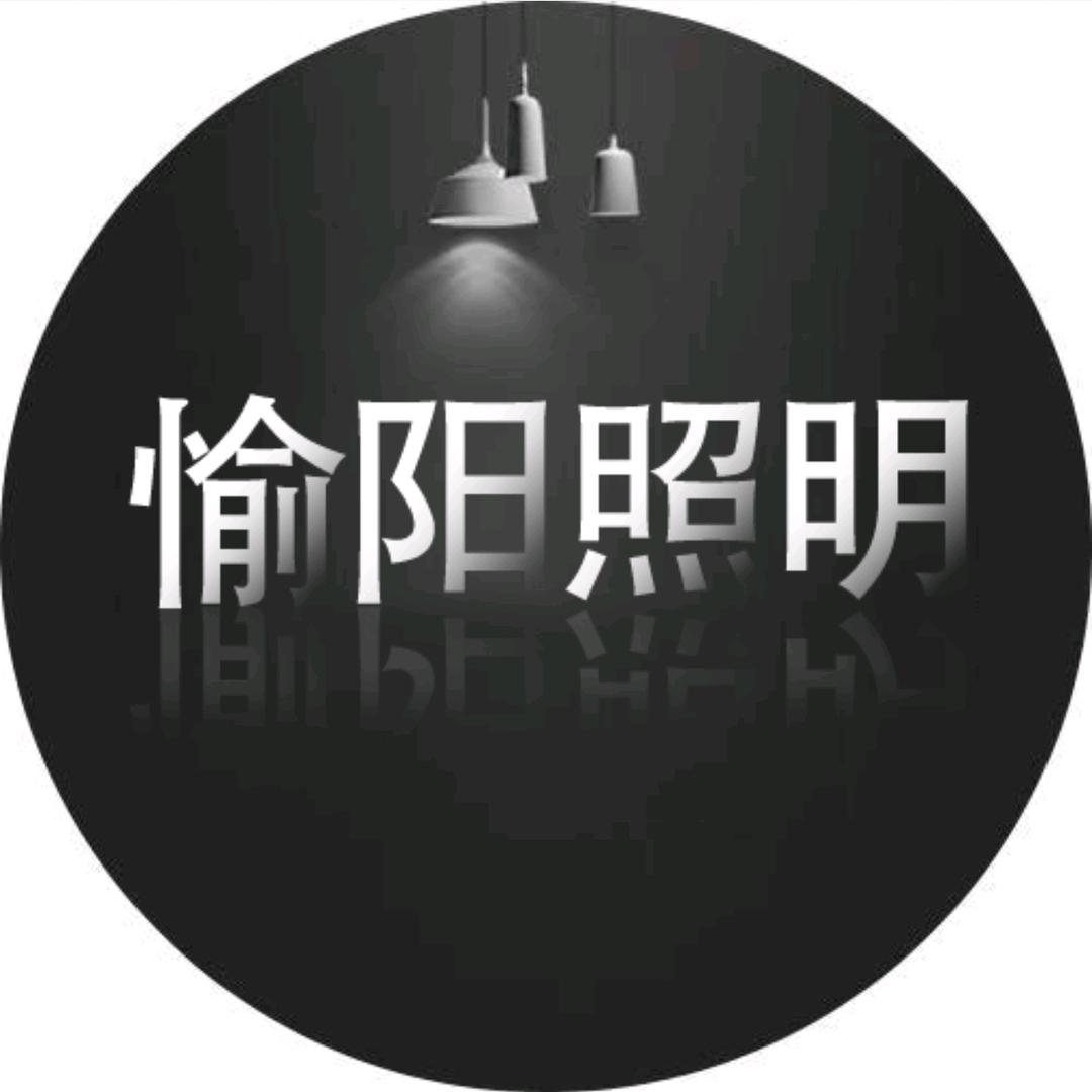 愉阳照明增彩灯具专卖店