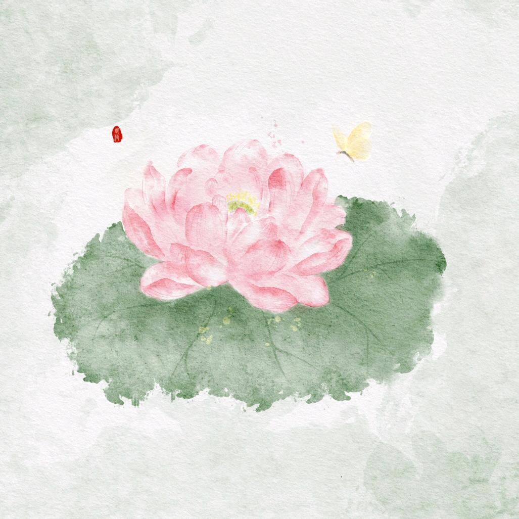 静心·禅音（24小时）