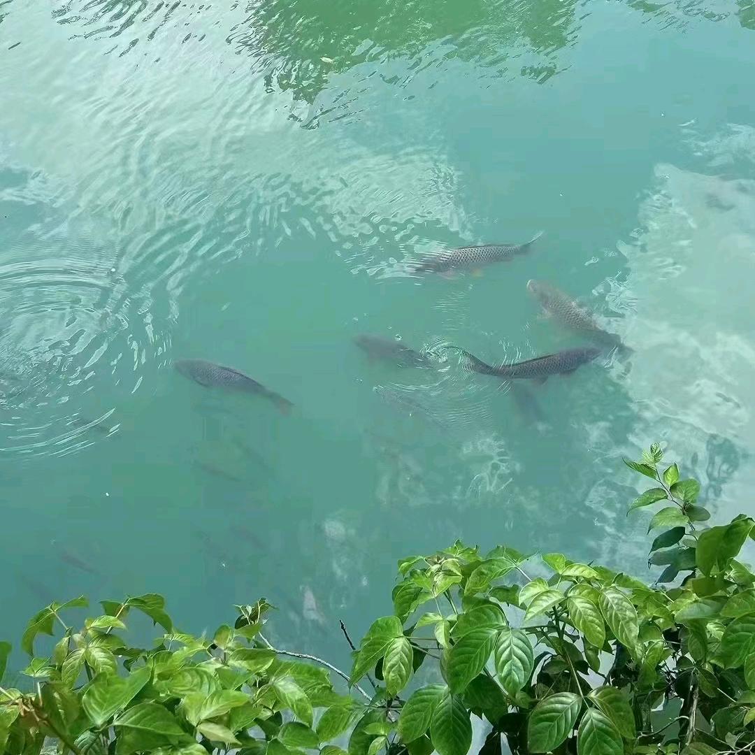 珍珍头像