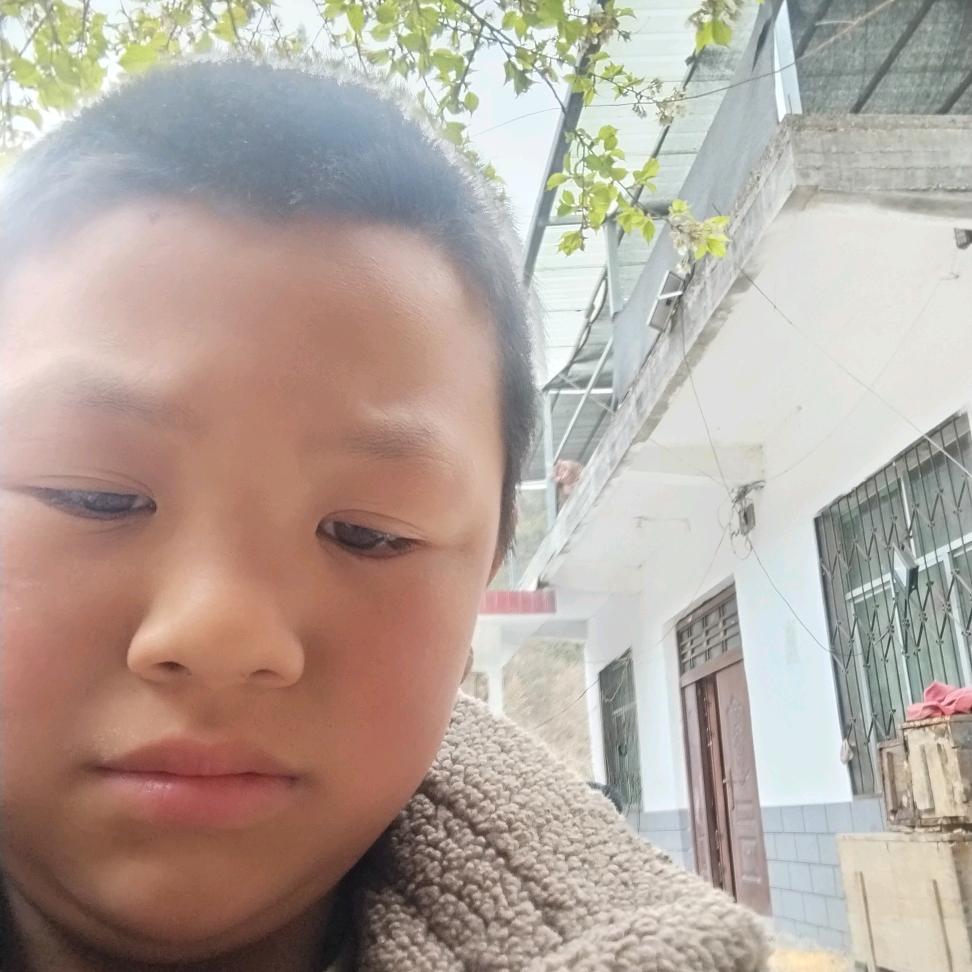 王鹏爸爸
