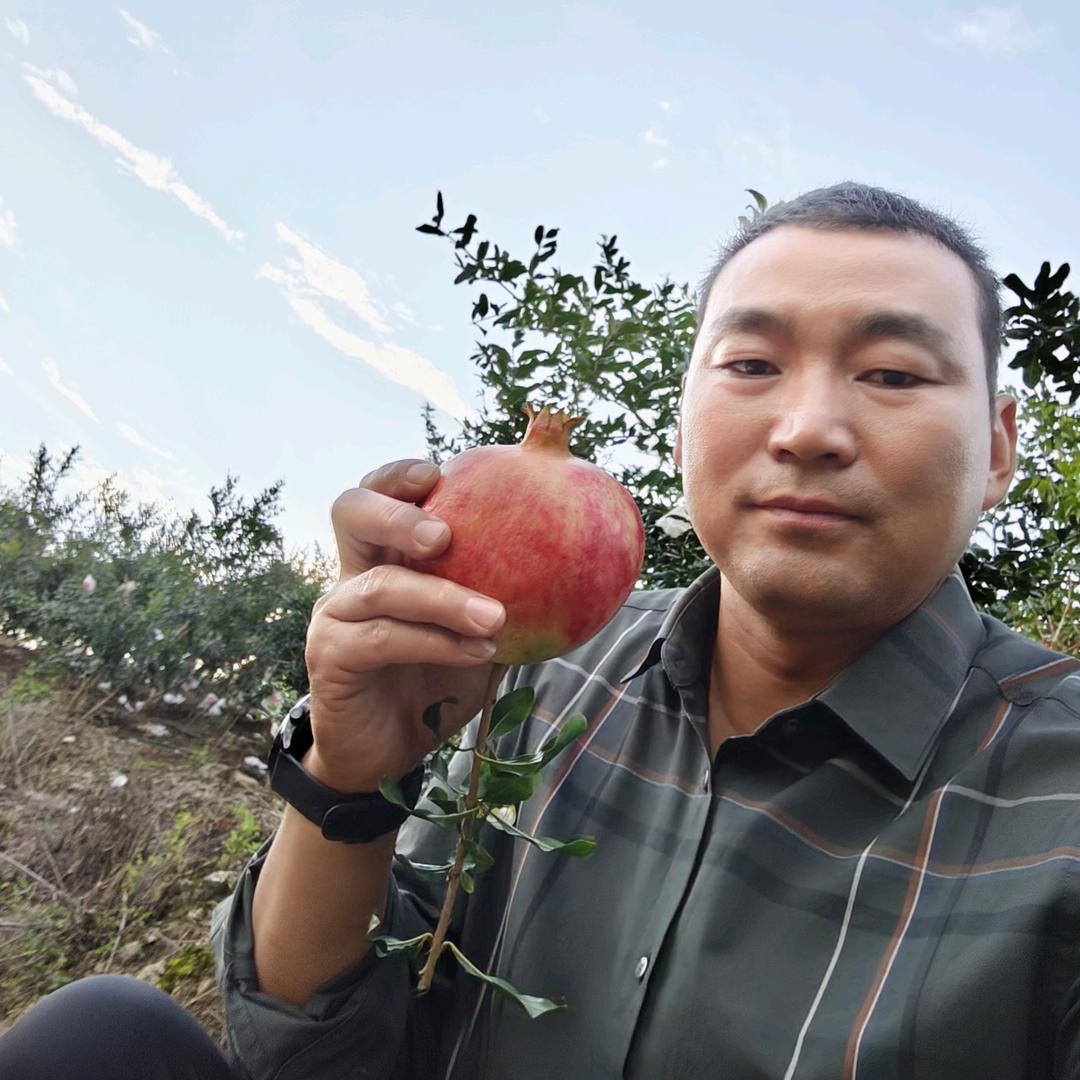 强哥果业   专注精品水果