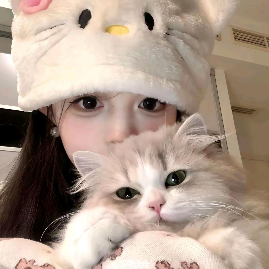 加菲