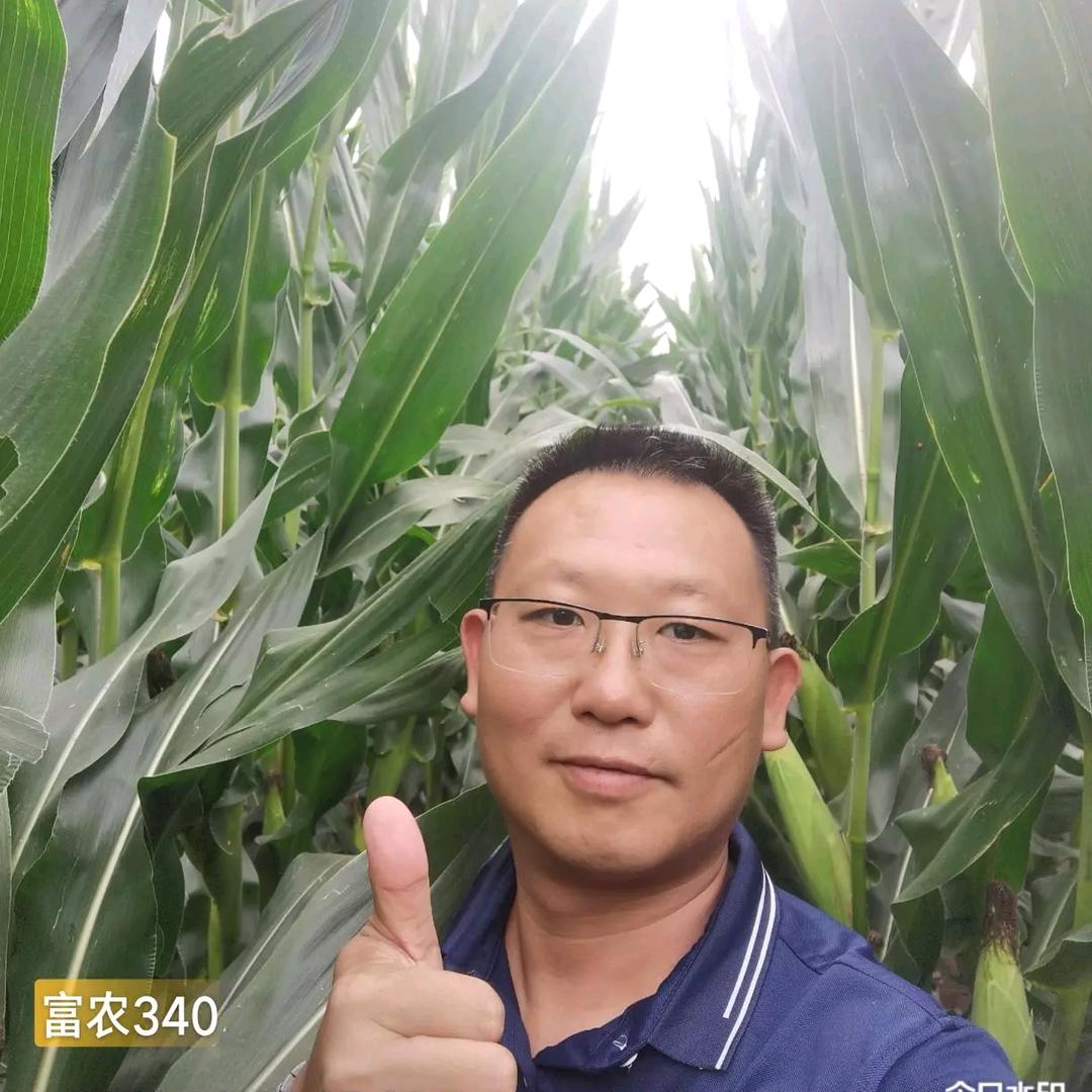 华哥做农业（正大种业）