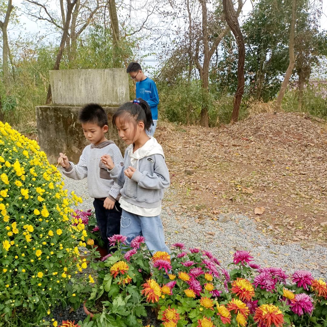 两个宝奶奶