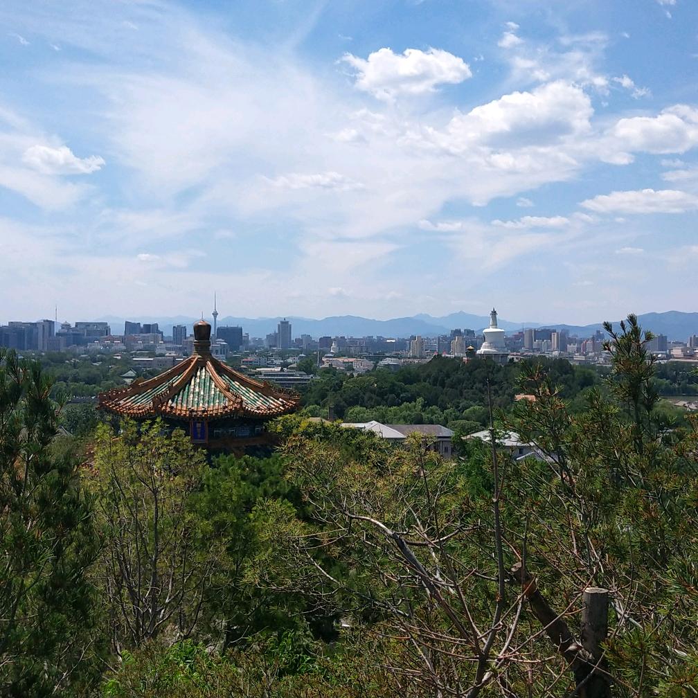 荡八荒