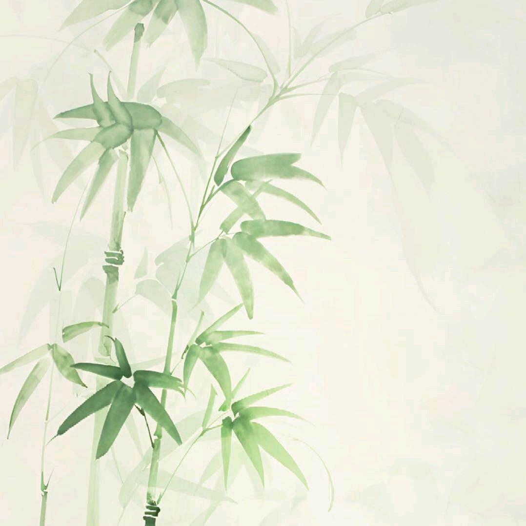 努力ᕦ(•ᴥ•)ᕤ奋斗