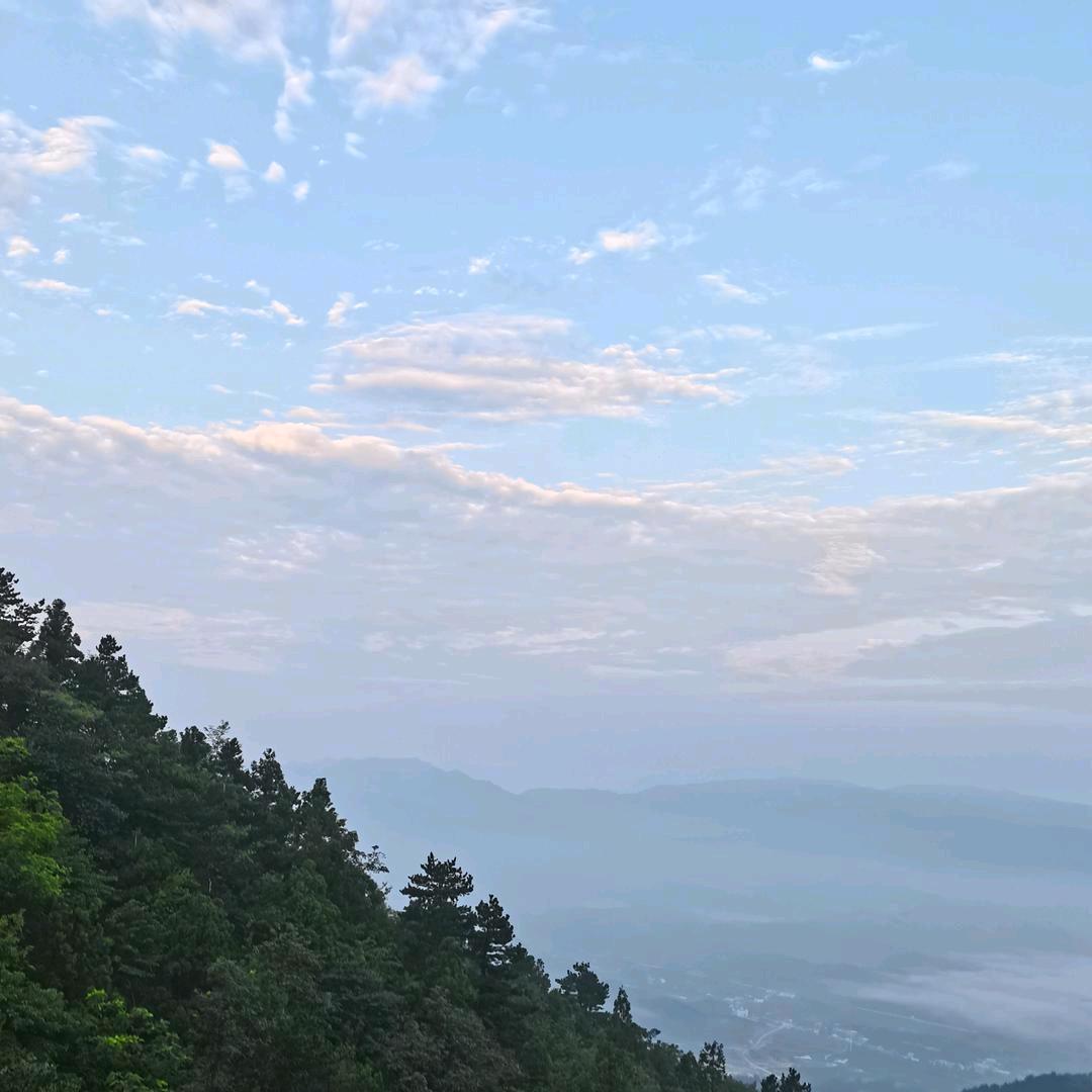 没想好