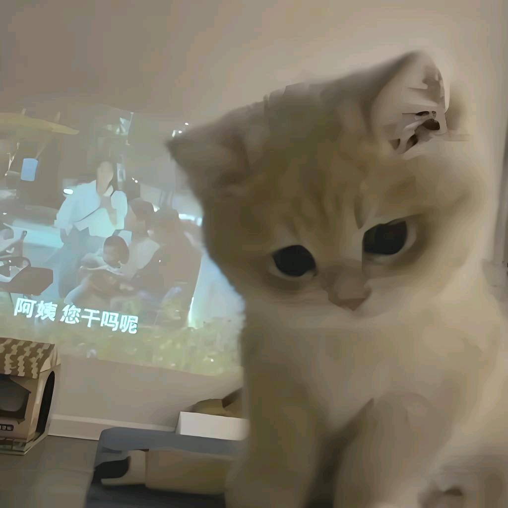 咸咸小鱼干