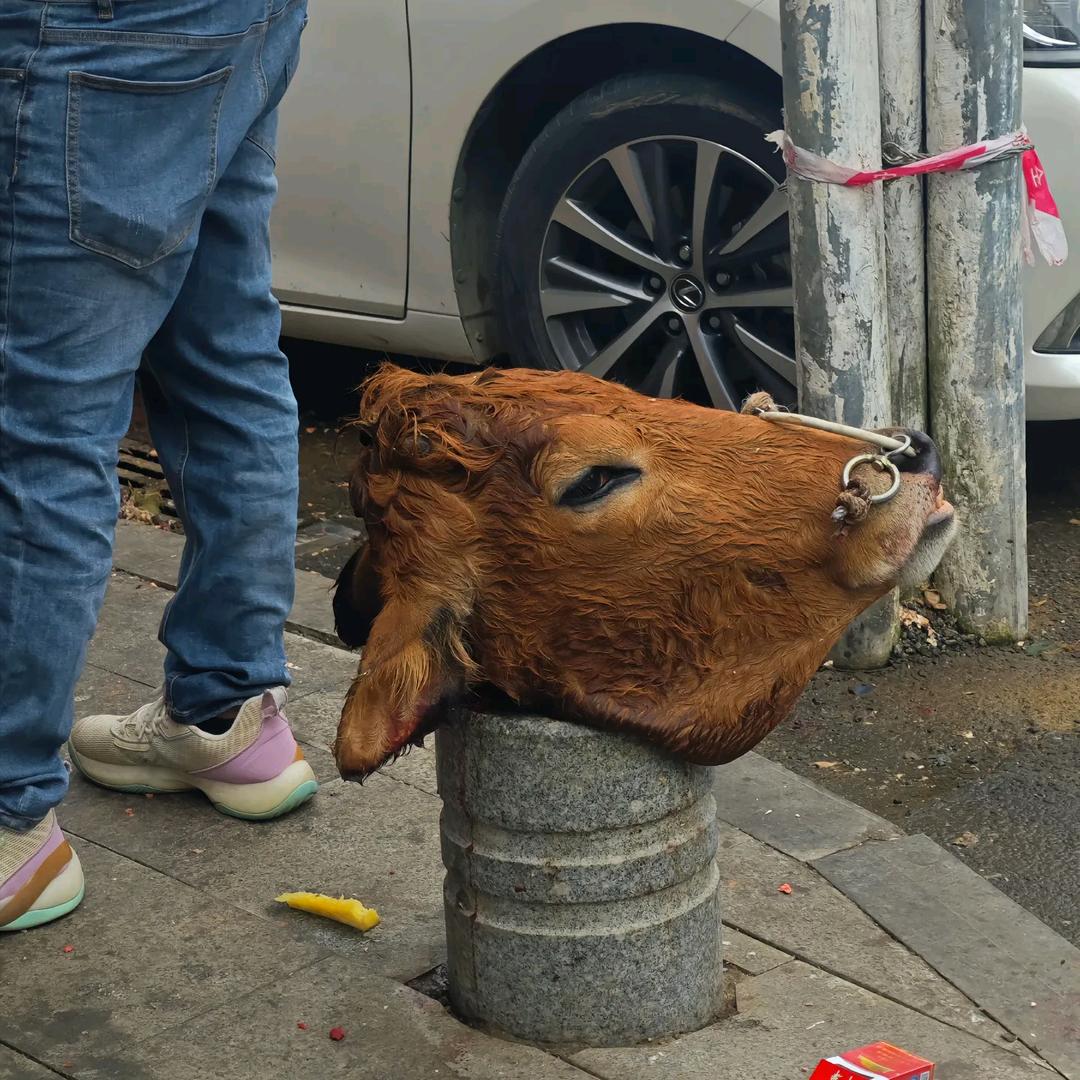 超人苏坦纳