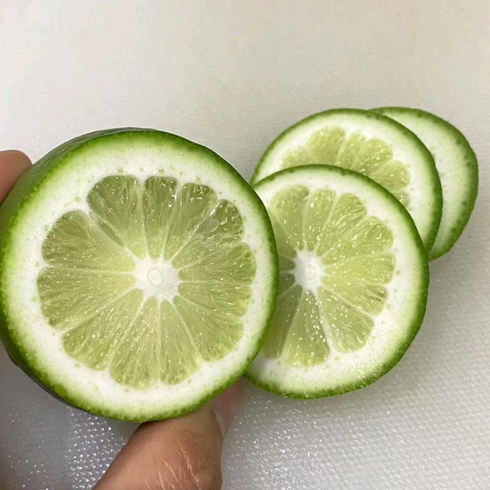 新式茶饮——培训、供应