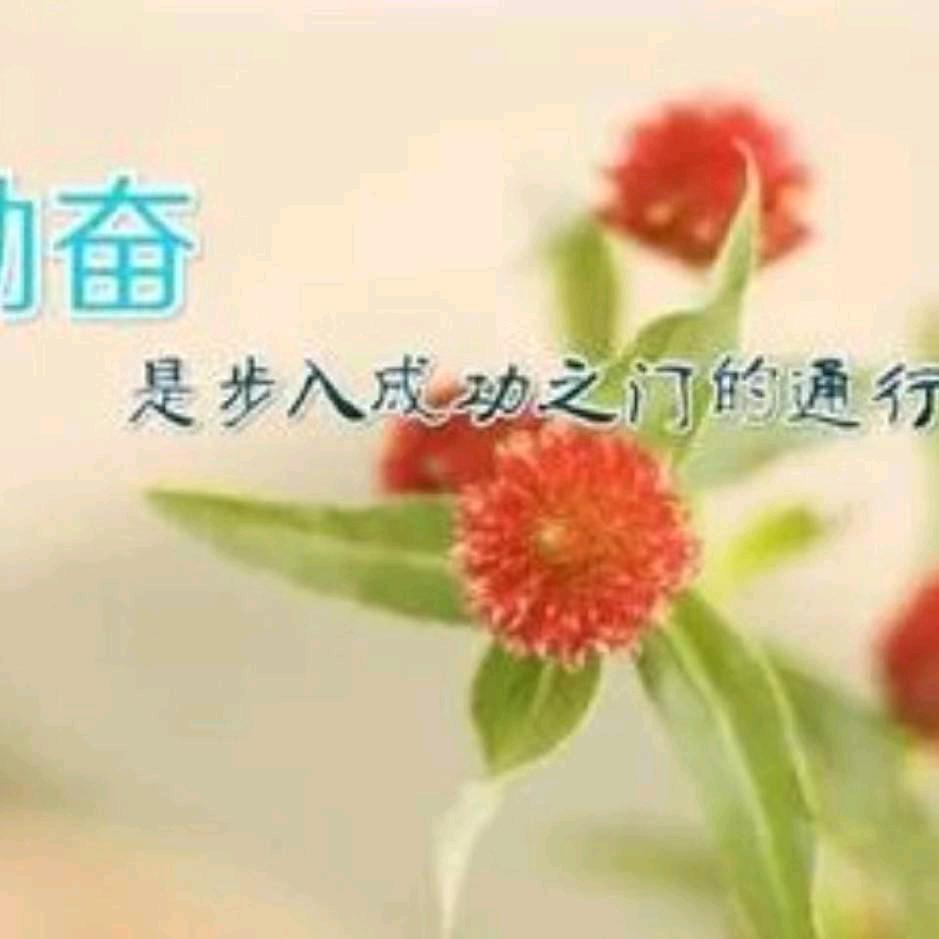 惜缘