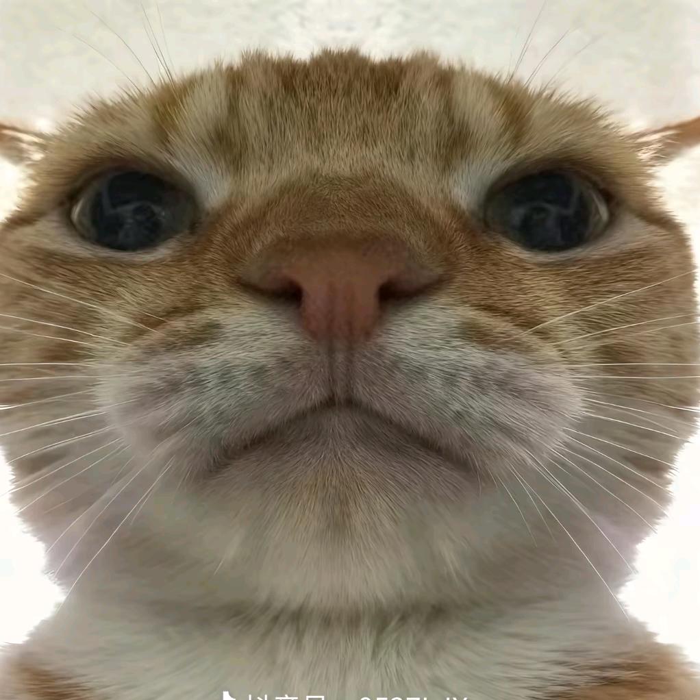 权志