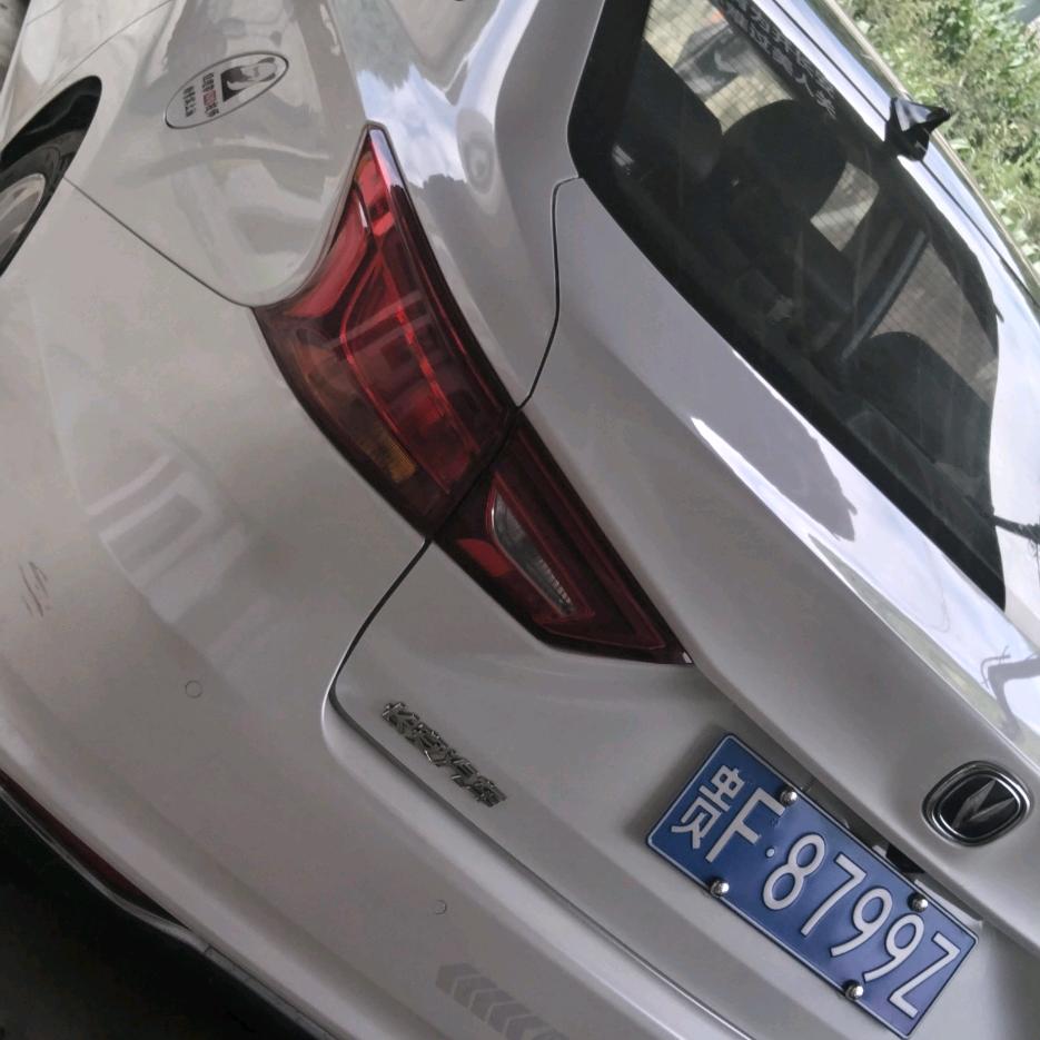 东山再起的小龙哥创业人生