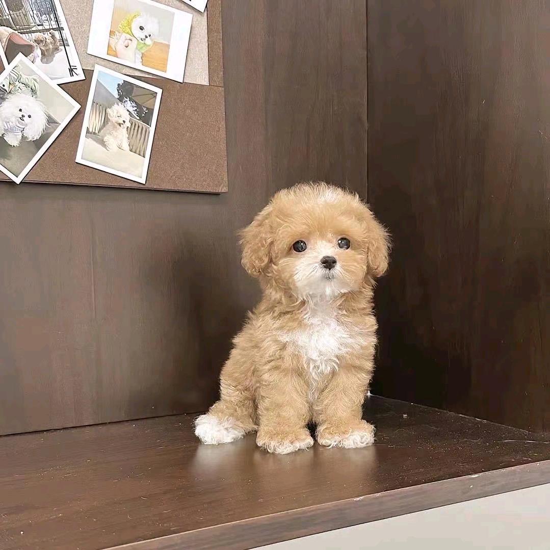 小名