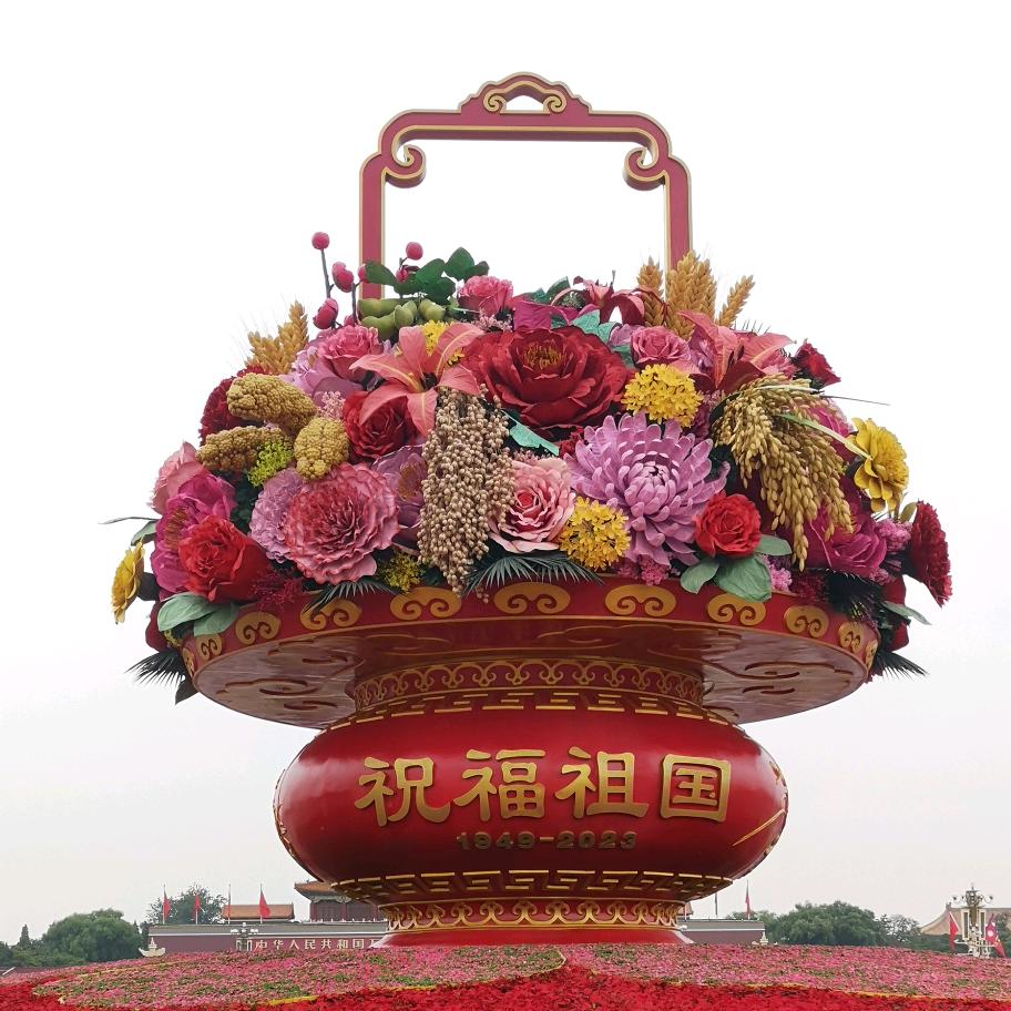 会飞的鱼