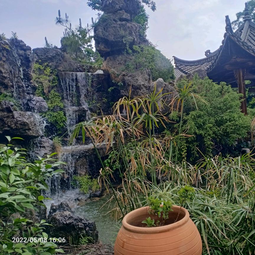 唯独宠☞🌸李🌸