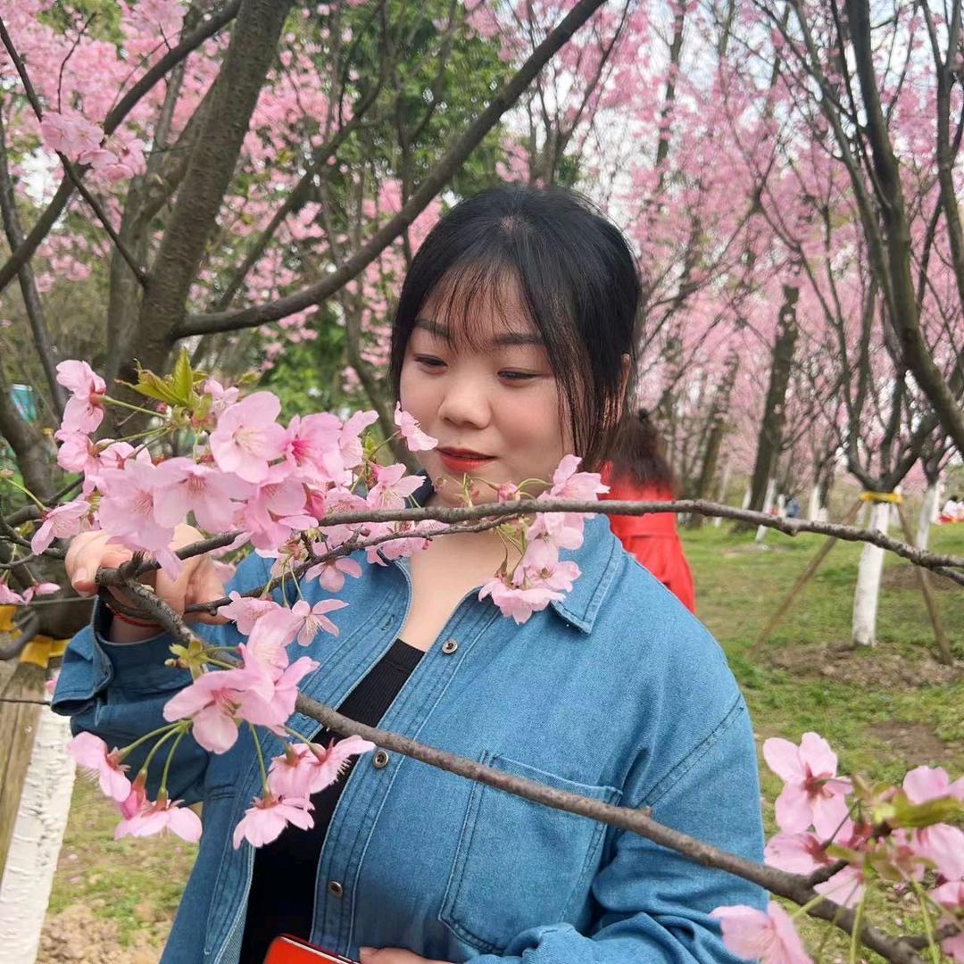 小菠菜
